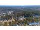Expansive aerial view of a residential community surrounded by dense forests and natural beauty at 2773 Clifton Avenue, Creedmoor, NC 27522