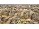 Aerial perspective of houses situated amongst trees near a road at 420 W 10Th St, Siler City, NC 27344