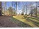 Spacious backyard with lush greenery and mature trees at 7112 Hasentree Way, Wake Forest, NC 27587