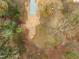 Aerial view of a large lot with mature trees at 320B W Orange St, Hillsborough, NC 27278