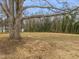 Large backyard with mature trees and a swing hanging from a tree branch at 320B W Orange St, Hillsborough, NC 27278