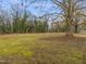 Large backyard with mature trees and grassy area at 320B W Orange St, Hillsborough, NC 27278