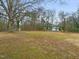 Open backyard with mature trees and grassy area at 320B W Orange St, Hillsborough, NC 27278