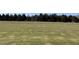 Large grassy backyard with a tree line in the background at 39 Harvest Hills Ln, Dunn, NC 28334