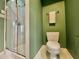 Bathroom showcasing a glass-enclosed shower and a toilet against an elegant green wall at 811 Oxbow Crossing Rd, Chapel Hill, NC 27516