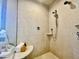 Luxurious shower features tile walls, shower head, handheld sprayer, and custom niche at 811 Oxbow Crossing Rd, Chapel Hill, NC 27516