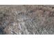 A secluded house, surrounded by bare trees in an aerial view at 6358 Pathway Ct Ct, Chapel Hill, NC 27516
