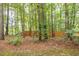 Wooded backyard with a privacy fence at 2635 Broad Oaks Pl, Raleigh, NC 27603