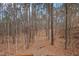 View of the property's wooded area from the back deck at 501 Pearson Dr, Durham, NC 27713