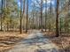 Gravel driveway leading through a wooded area at 341 Harts Creek Dr Dr, Pittsboro, NC 27312