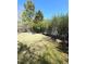 Lush backyard featuring green grass and mature trees, providing a private outdoor space at 9201 Sayornis Ct, Raleigh, NC 27615