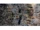 Aerial view of a wooded area with a creek running through it at 1100 Ben Smith Road Rd, Siler City, NC 27344