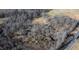 Aerial view of land with trees and road at 1100 Ben Smith Road Rd, Siler City, NC 27344