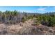 Aerial view of a vacant lot with sparse vegetation at 1100 Ben Smith Road Rd, Siler City, NC 27344