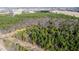 Aerial view of a large wooded lot near a road at 1100 Ben Smith Road Rd, Siler City, NC 27344