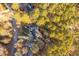 Aerial view of a wooded lot with a house surrounded by trees, showcasing privacy and natural beauty at 1210 Huntsman Dr, Durham, NC 27713