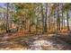 Wooded lot featuring a shed and stone pathway at 1210 Huntsman Dr, Durham, NC 27713