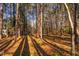Wooded lot with tall trees creates a natural, shaded environment at 1210 Huntsman Dr, Durham, NC 27713