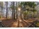 Sunlit backyard with tall trees, creating a peaceful and natural setting at 1210 Huntsman Dr, Durham, NC 27713