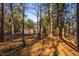 Brick house nestled in a wooded backyard at 1210 Huntsman Dr, Durham, NC 27713