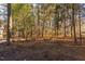 A large backyard, heavily wooded, features a stone fire pit and room to roam at 1210 Huntsman Dr, Durham, NC 27713