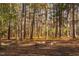 Backyard showing a cozy fire pit surrounded by mature trees, creating a relaxing outdoor space at 1210 Huntsman Dr, Durham, NC 27713