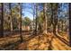 Charming brick home nestled among tall trees offers a sense of privacy and seclusion at 1210 Huntsman Dr, Durham, NC 27713
