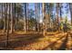 An obscured rear view of a two-story home surrounded by mature trees and fallen leaves at 1210 Huntsman Dr, Durham, NC 27713