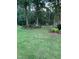 Spacious backyard with lush green grass and mature trees at 4139 Somerset Dr, Oxford, NC 27565