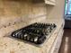 Stainless steel gas cooktop with granite countertop at 549 Balsam Fir Dr Dr, Cary, NC 27519