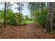 Wooded backyard with a large, grassy area at 715 Powell Dr, Raleigh, NC 27606