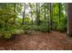 Stone bench nestled in a serene wooded garden at 715 Powell Dr, Raleigh, NC 27606