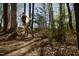 Community trails for walking, running and biking at 2117 Treelight Way, Wendell, NC 27591