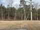 Wooded homesite with cleared area and new sod at 4937 S Trout Crest, Raleigh, NC 27604