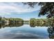 Beautiful lake view reflecting a clear blue sky, surrounded by lush trees in a serene community setting at 501 Queensferry Rd, Cary, NC 27511