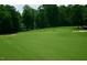 Golf course putting green at 116 Mohave Dr, Louisburg, NC 27549