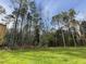 Spacious backyard with grassy lawn and mature trees at 309 Starry Sky Dr, Benson, NC 27504