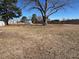 Large backyard with shed and mature trees at 1002 Godwin Ln, Dunn, NC 28334