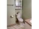 Bathroom with toilet, vanity, storage cabinet, hexagon tile flooring and neutral wall color at 1641 Bridgedale Dr, Rocky Mount, NC 27803