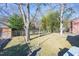 Spacious backyard with mature trees and a chain link fence at 210 Earl St, Rocky Mount, NC 27804