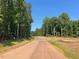 Peaceful community road surrounded by lush trees at 289 Gaines Trl, Pittsboro, NC 27312
