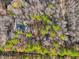 Aerial view of the property surrounded by foliage and mature trees, with a large, long gravel driveway at 497 Turn Key Way, Pittsboro, NC 27312