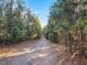 Long gravel driveway surrounded by mature trees and wooded areas, leading to this beautiful home at 497 Turn Key Way, Pittsboro, NC 27312