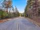 A road leading to wooded land under a bright blue sky, showcasing natural beauty and a peaceful setting at 497 Turn Key Way, Pittsboro, NC 27312