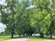 Tree-lined street with large, mature trees forming a canopy over the road, enhancing the landscape at 93 Ausban Ridge Ln # 033, Four Oaks, NC 27524