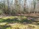 Wooded lot ready for new construction at 3050 Bennett Siler City Rd, Bennett, NC 27208