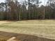 View of a large backyard with new grass and trees at 507 Barnes Landing Drive Dr # 20-Mchenry, Four Oaks, NC 27524