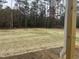 View of a large backyard with new grass and trees at 507 Barnes Landing Dr, Four Oaks, NC 27524