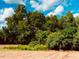 Wooded lot with open field and partially fenced area at 182 Nimble Way # 220, Clayton, NC 27520