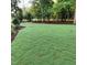 Expansive backyard with newly installed sod, bordered by mature trees and lush landscaping at 716 Spirit Hill Dr, Hillsborough, NC 27278